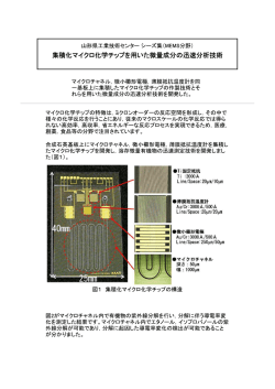 集積化マイクロ化学チップを用いた微量成分の迅速分析技術