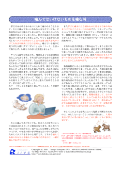 噛んではいけないものを噛む時