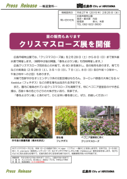 苗の販売もあります クリスマスローズ展を開催（2015