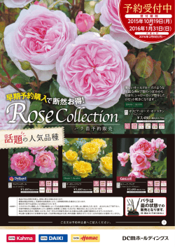 Rose Collection