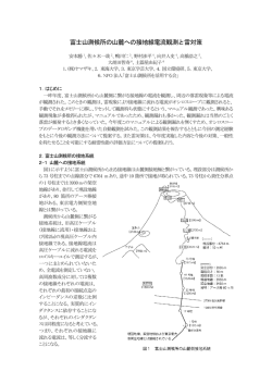 富士山測候所の山麓への接地線電流観測と雷対策