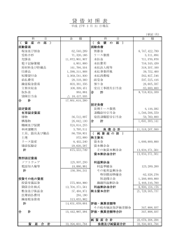貸借対照表(PDF/467KB)