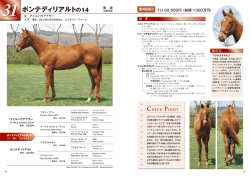 ポンテディリアルトの14