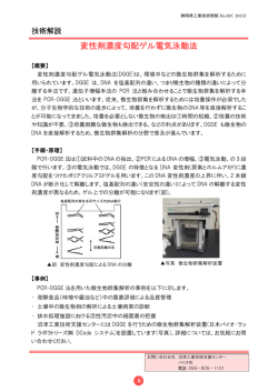 変性剤濃度勾配ゲル電気泳動法