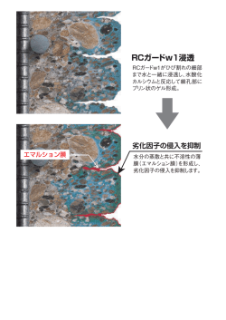 RCガードw1浸透