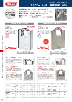 プラチナム 34CS ／真鍮南京錠 65CS シャックル ガード搭載