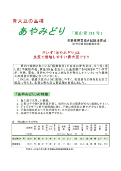 リーフレット