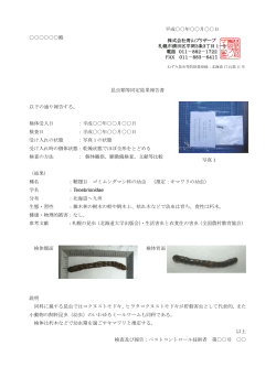 平成    年    月    日 殿 昆虫類等同定結果報告書 以下