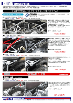 Helmet Lock