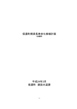 信濃町橋梁長寿命化修繕計画 平成24年3月 信濃町 建設水道課