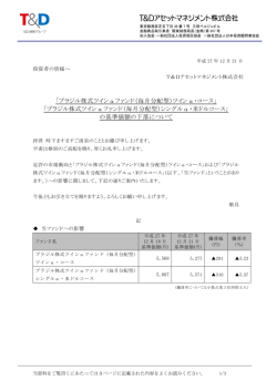 ブラジル株式ツイン&alpha;ファンド（毎月分配型）ツイン&alpha;・コース