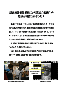 （畜産）超音波妊娠診断機により高能力乳用牛の妊娠が確認されました！