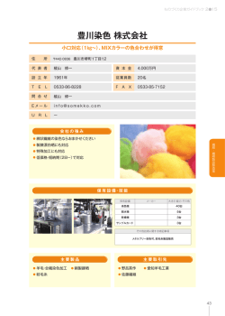 豊川染色 株式会社
