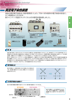 独自の真空電子染色法(特許取託等済)により、TEM`SEM試料の電子