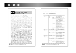 ポリエステル／セルロースおよび その他のDCブレンド品 第1 3章