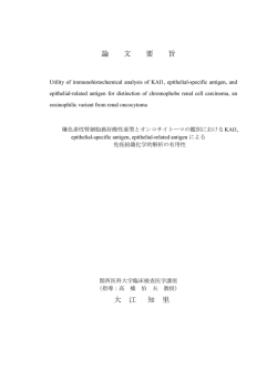 論文要旨（要約）