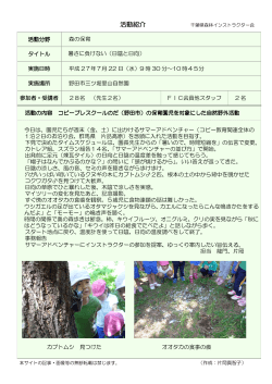 暑さに負けない（日陰と日向） - 千葉県森林インストラクター会