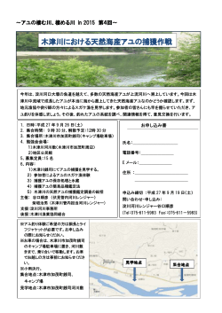 木津川における天然海産アユの捕獲作戦