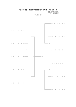 平成27年度 静岡県中学校総合体育大会 バドミントン 中学男子団体