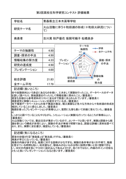評価結果（PDF）