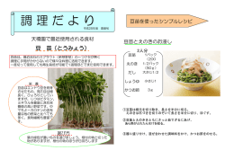調理だより