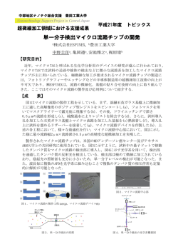 単一分子検出マイクロ流路チップの開発 単 分子検出マイクロ流路チップ