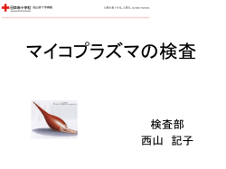 マイコプラズマの検査