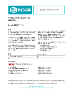 BurnEx 6220 Data Sheet BurnEx 6220 データシート 東京興業貿易商会