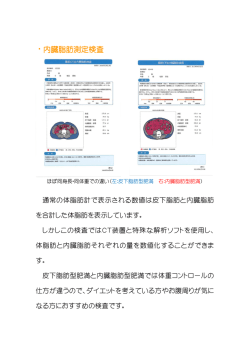 ・内臓脂肪測定検査
