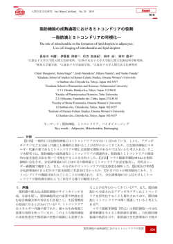 脂肪滴とミトコンドリアの可視化 - 人間生活文化研究