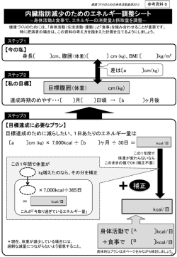 内臓脂肪減少のためのエネルギー調整シート 補正