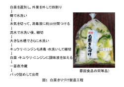 白菜を選別し、外葉を外して四割り ↓ 樽で水洗い ↓ 水気を切って、消毒