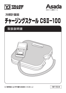 IM1504 チャージングスケール CSⅡ