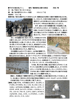 平成27 年2 月14 日(土) 「鶴見緑地で冬の水鳥を見よう！」