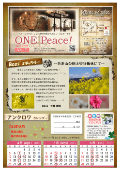 『ONE Peace』17号
