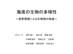 海底の生物の多様性
