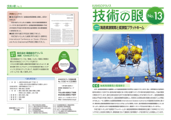 海底資源開発と低頭型プラットホーム