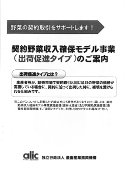契約野菜収入確保モデル事業 (出荷促進タイフ)のご案内