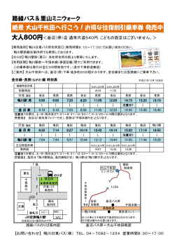 路線バス＆里山ミニウォーク 絶景 大山千枚田へ行こう！お得な往復割引