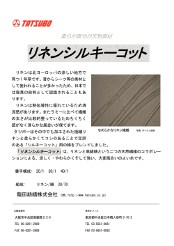 資料（PDF）はこちら