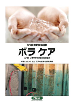 ボラケア ホウ酸塩防腐防蟻剤
