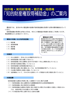 補助の対象となる知的財産権 対象者 対象経費 補助金の目的