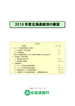 2016 年度北海道経済の展望