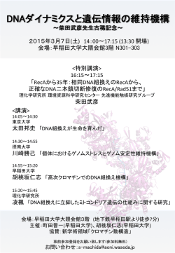 DNAダイナミクスと遺伝情報の維持機構