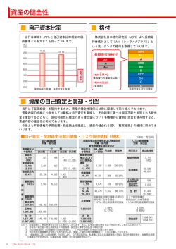資産の健全性