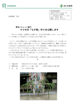 マコモの「七夕馬」作りを公開します
