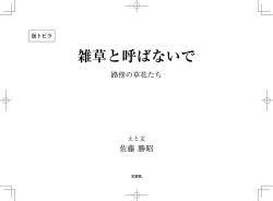 再校ゲラ(final galley proof)