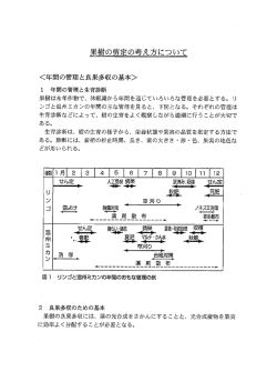 果樹の剪定の考え方について
