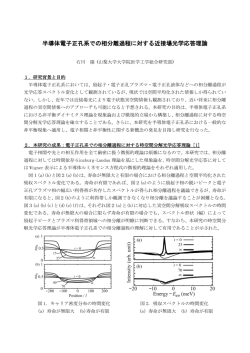 半導体電子正孔系での相分離過程に対する近接場光学応答理論