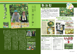 菊池梨